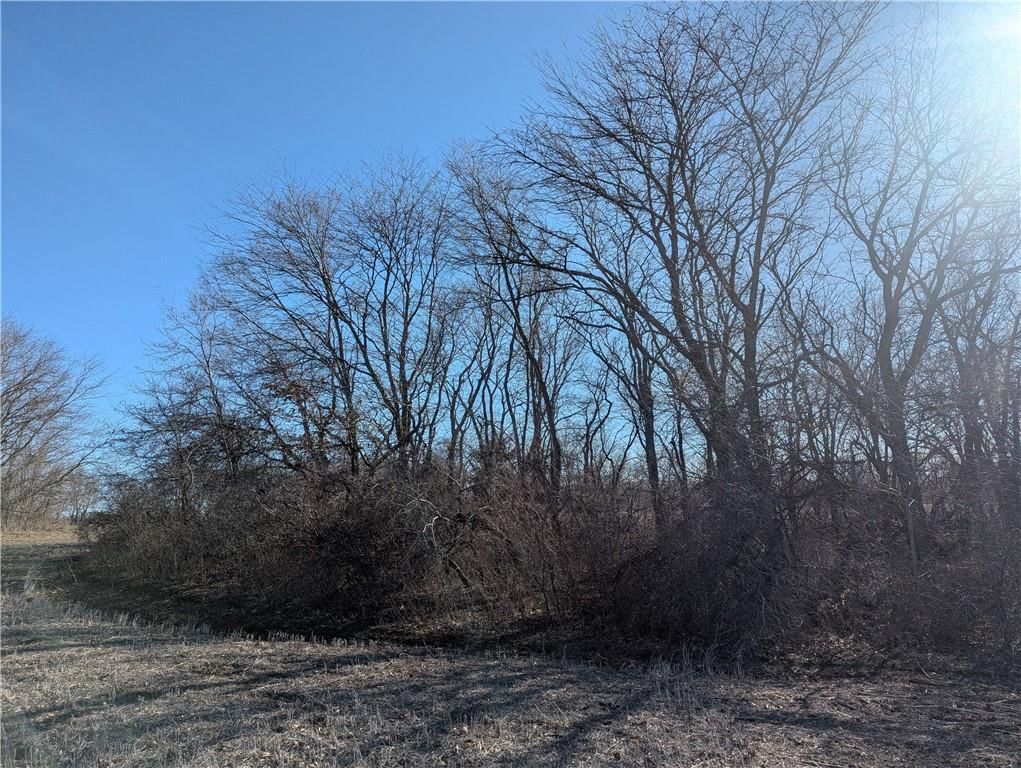 NE Mule Barn Road — photo 37