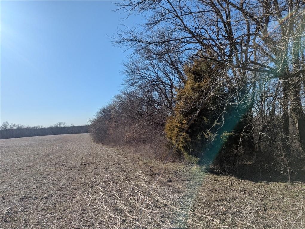 NE Mule Barn Road — photo 38