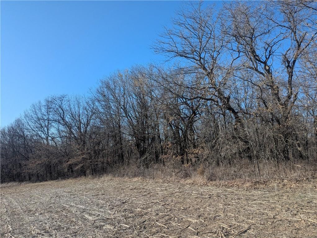 NE Mule Barn Road — photo 39