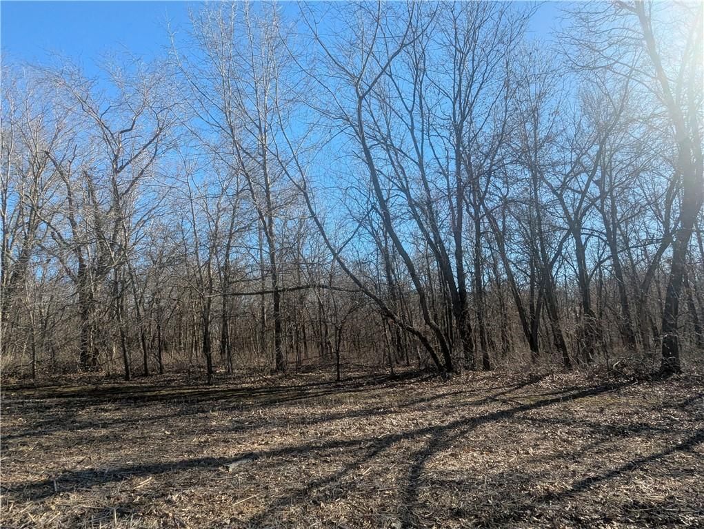 NE Mule Barn Road — photo 41