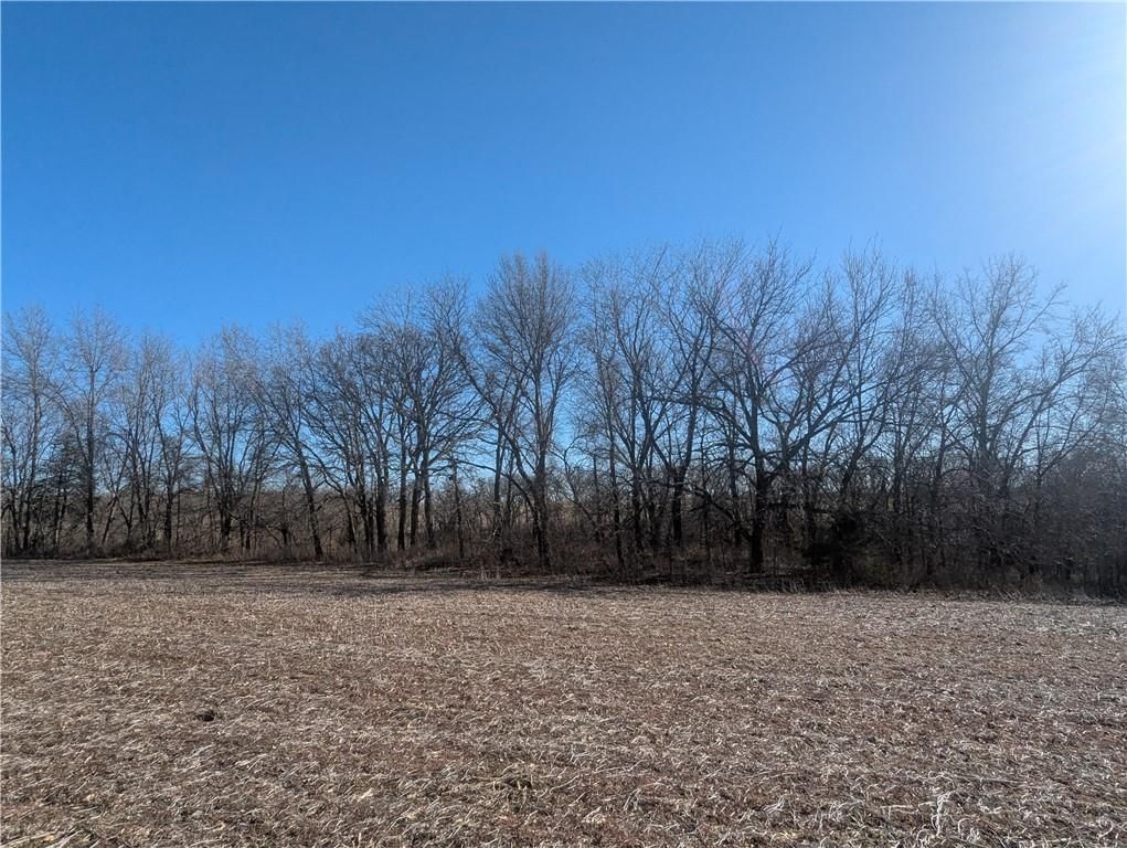 NE Mule Barn Road — photo 43