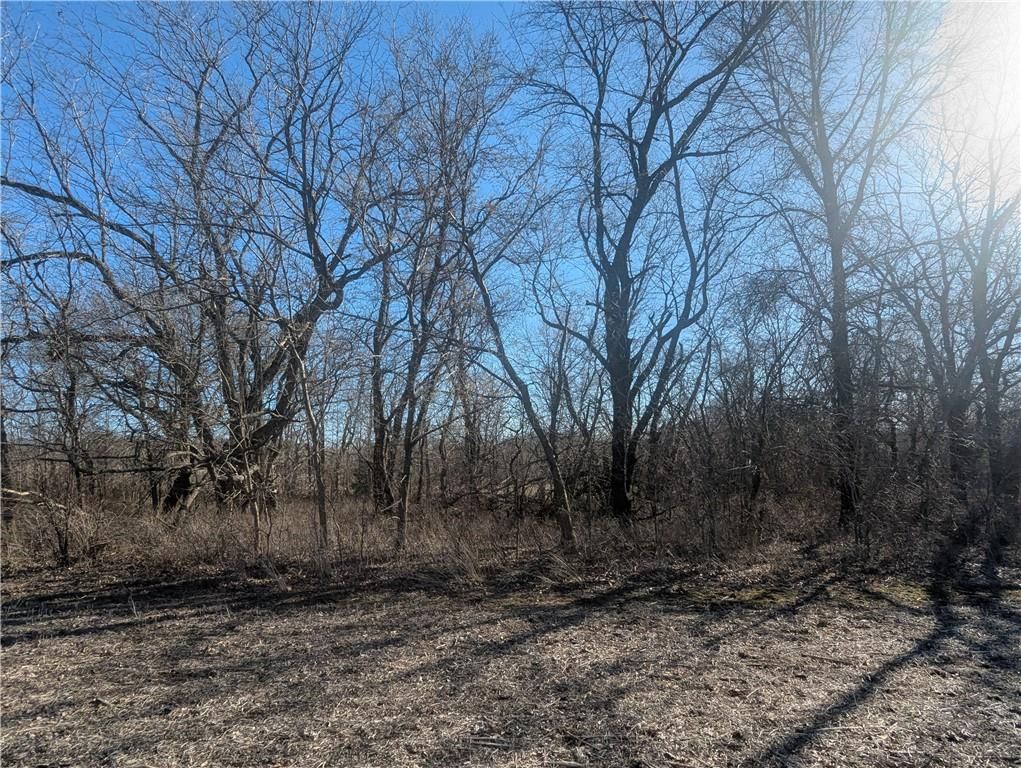 NE Mule Barn Road — photo 44