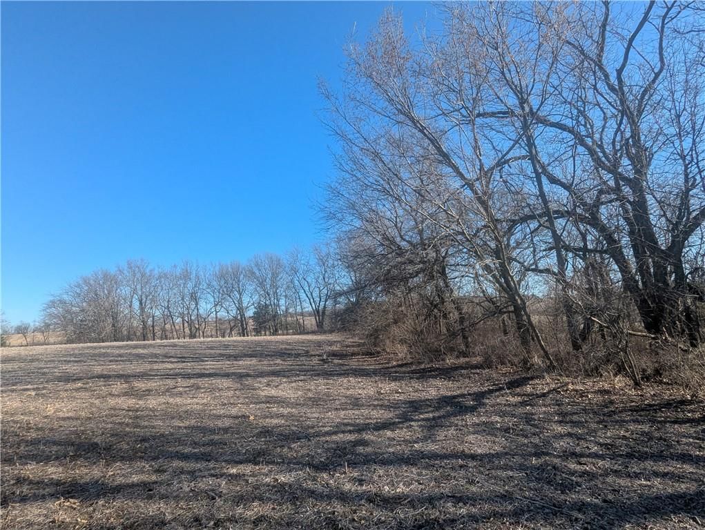 NE Mule Barn Road — photo 45