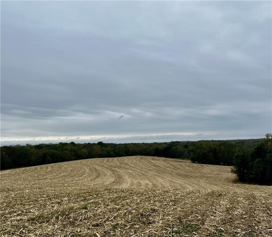 Tract 2 County Road 422 Road, Amazonia, MO
