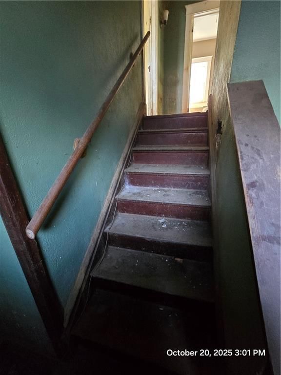 137 Chelsea Avenue — photo 12