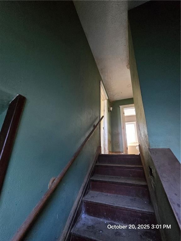 137 Chelsea Avenue — photo 13