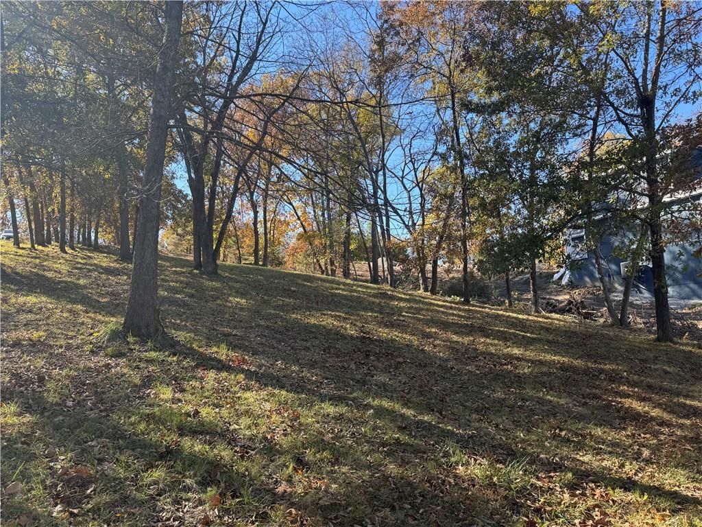 Lot 162 Lake Viking Terrace — photo 17