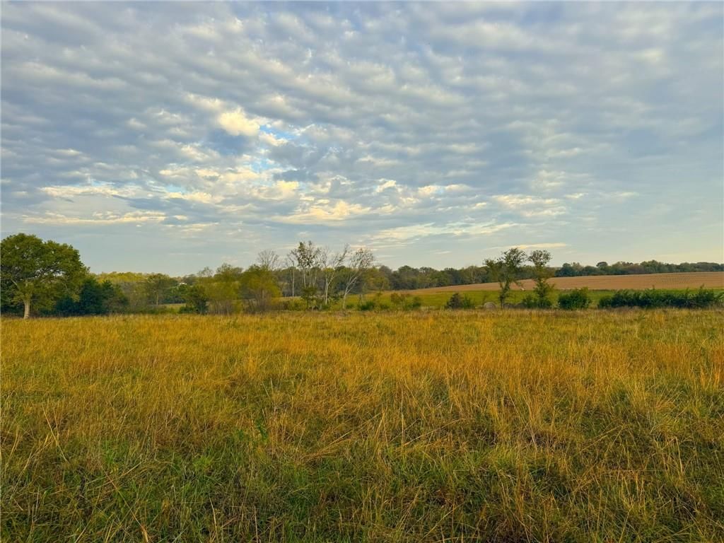 134 N 1150 Road — photo 14