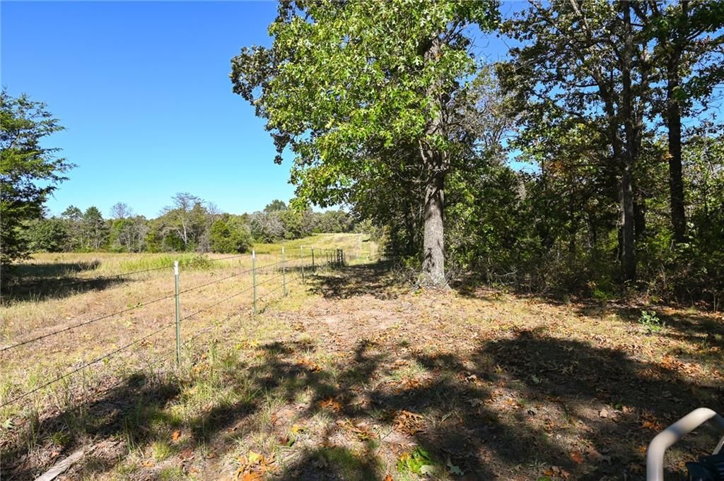 33981 County Road 96 Highway — photo 32