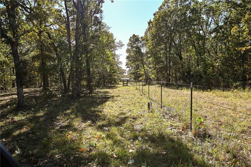 33981 County Road 96 Highway — photo 33