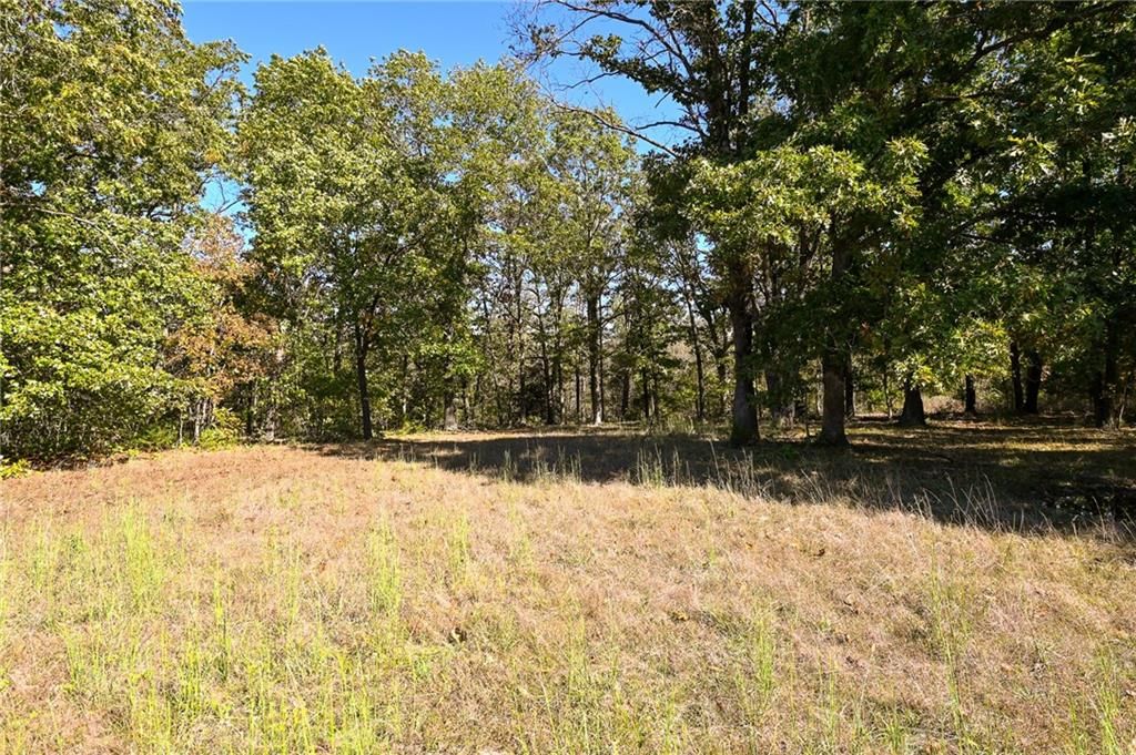 33981 County Road 96 Highway — photo 34