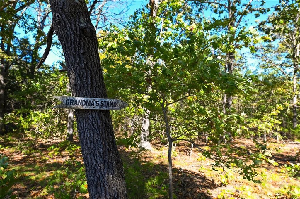 33981 County Road 96 Highway — photo 35