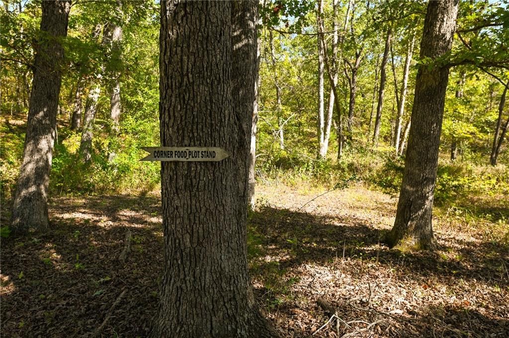 33981 County Road 96 Highway — photo 36
