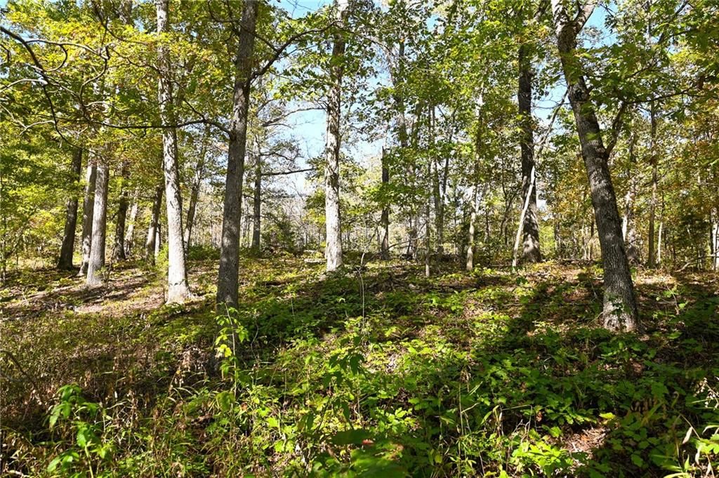 33981 County Road 96 Highway — photo 38