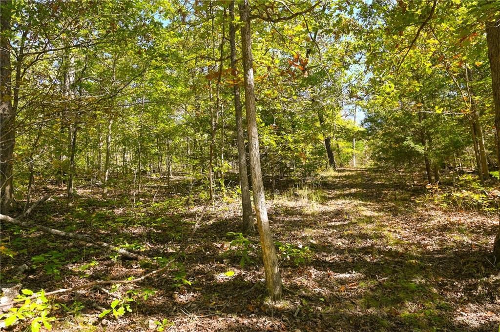 33981 County Road 96 Highway — photo 39