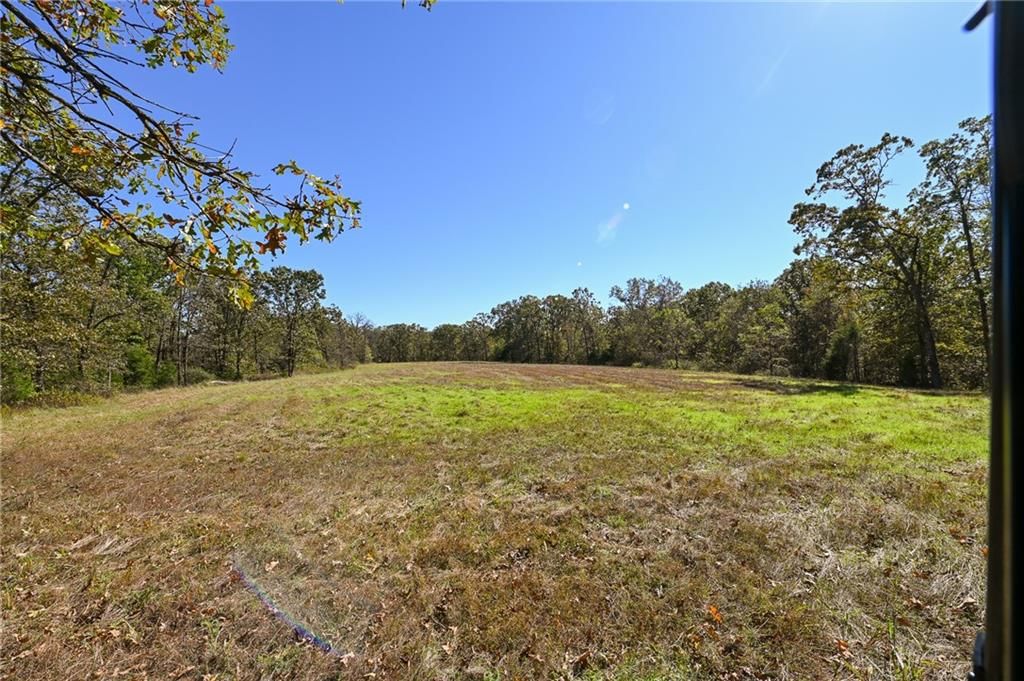 33981 County Road 96 Highway — photo 40