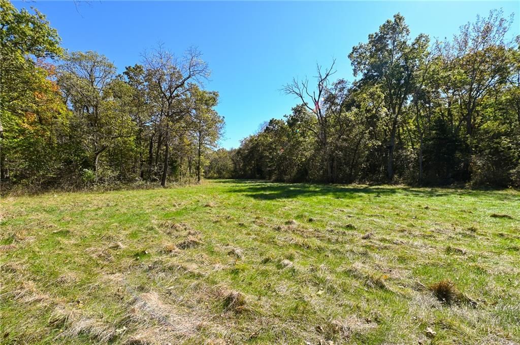 33981 County Road 96 Highway — photo 41