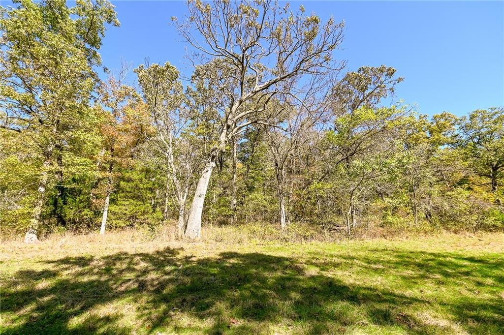 33981 County Road 96 Highway — photo 42