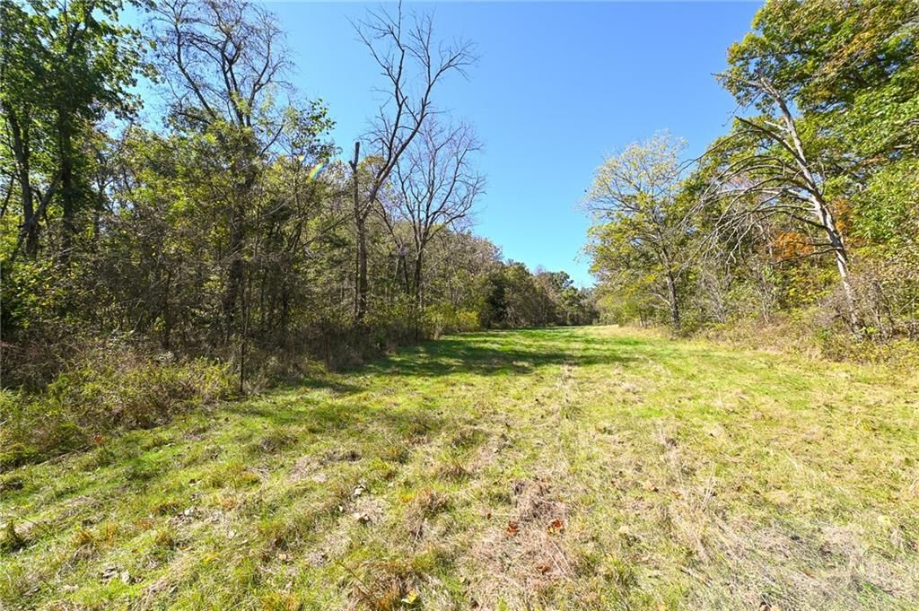 33981 County Road 96 Highway — photo 43