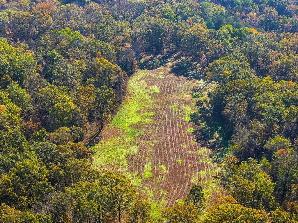 33981 County Road 96 Highway — photo 44