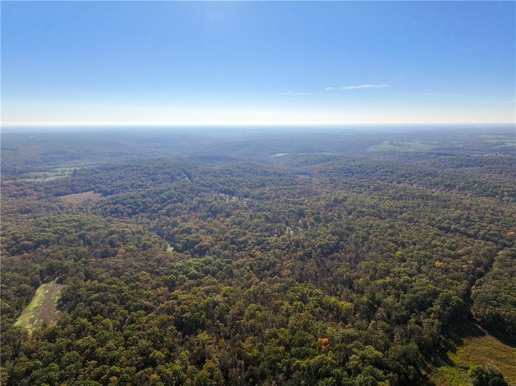 33981 County Road 96 Highway — photo 46