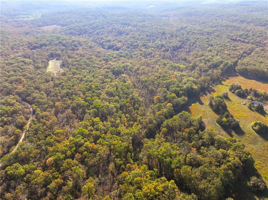 33981 County Road 96 Highway — photo 47