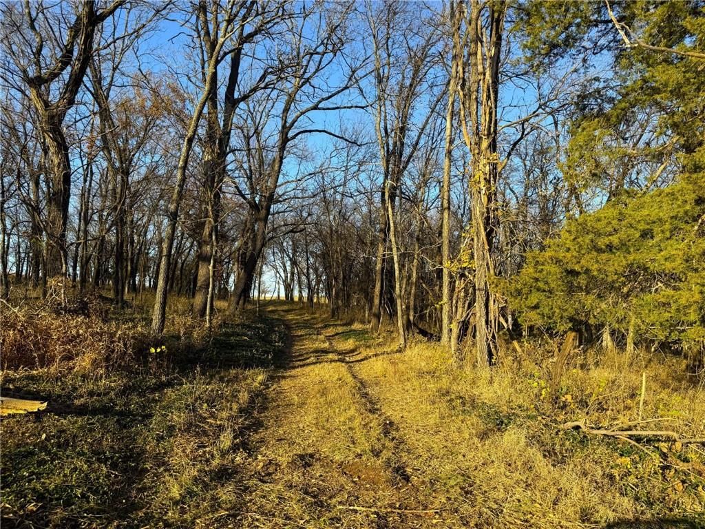 135 N 1150 Road — photo 14