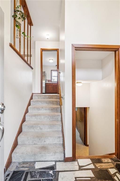 3 Carver Place — photo 27