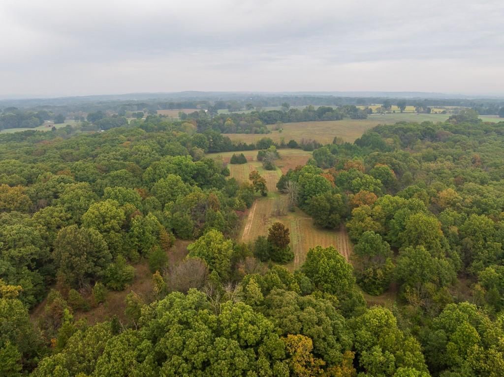 8440 NE Highway C Highway — photo 12