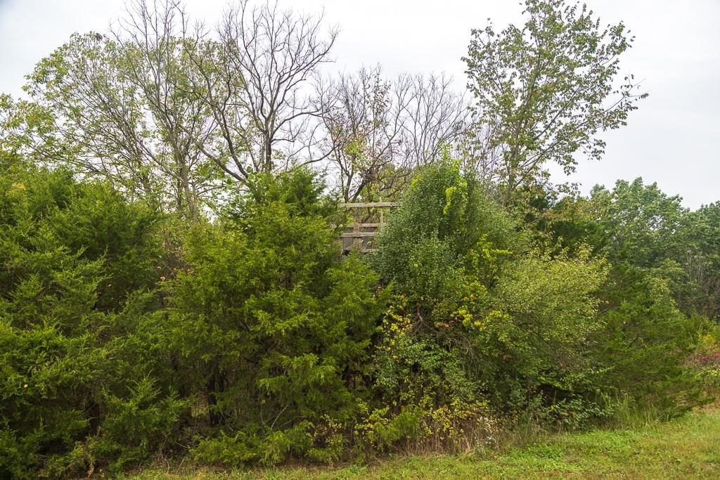8440 NE Highway C Highway — photo 72