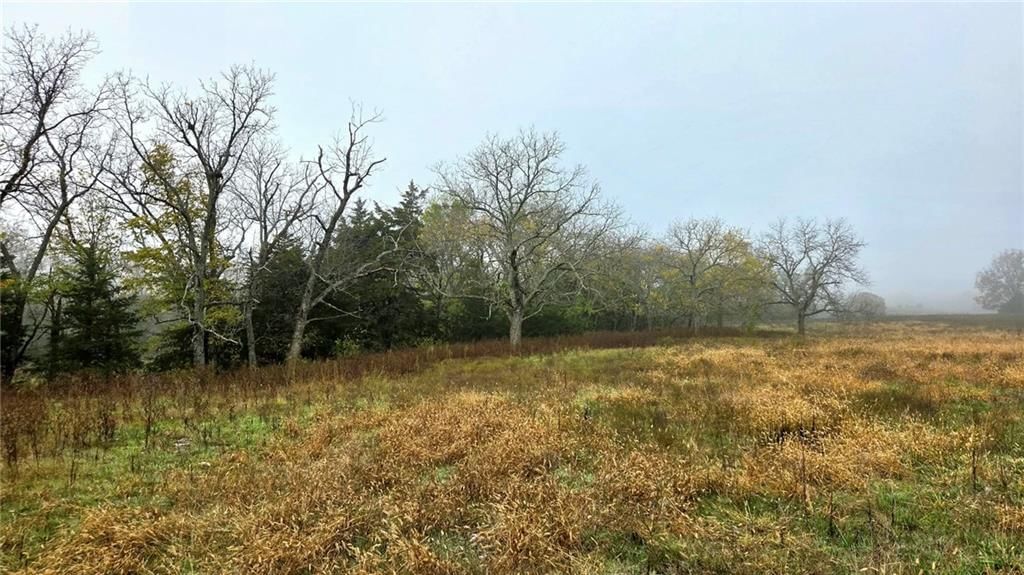 00000 Keitel Road — photo 4