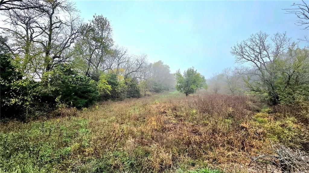 00000 Keitel Road — photo 7
