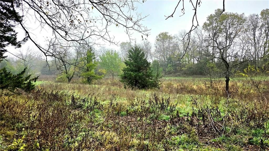 00000 Keitel Road — photo 10