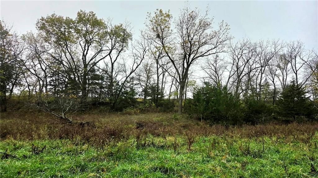 00000 Keitel Road — photo 12