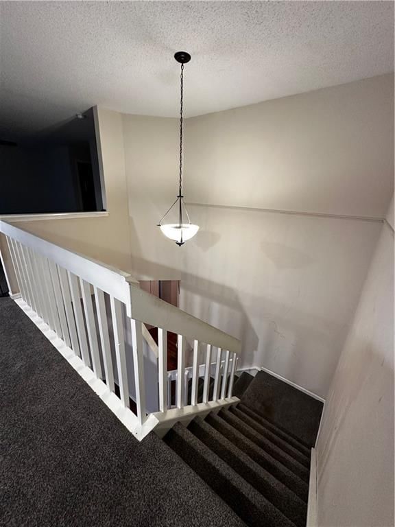 12339 Charlotte Street — photo 19