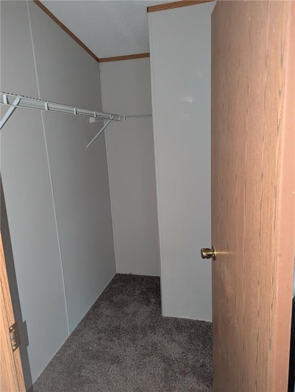 7529 Beach Drive — photo 10