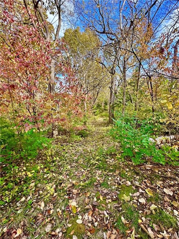 4209 N 113th Court — photo 51