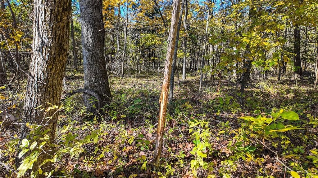 5125 SE 601 Road — photo 4