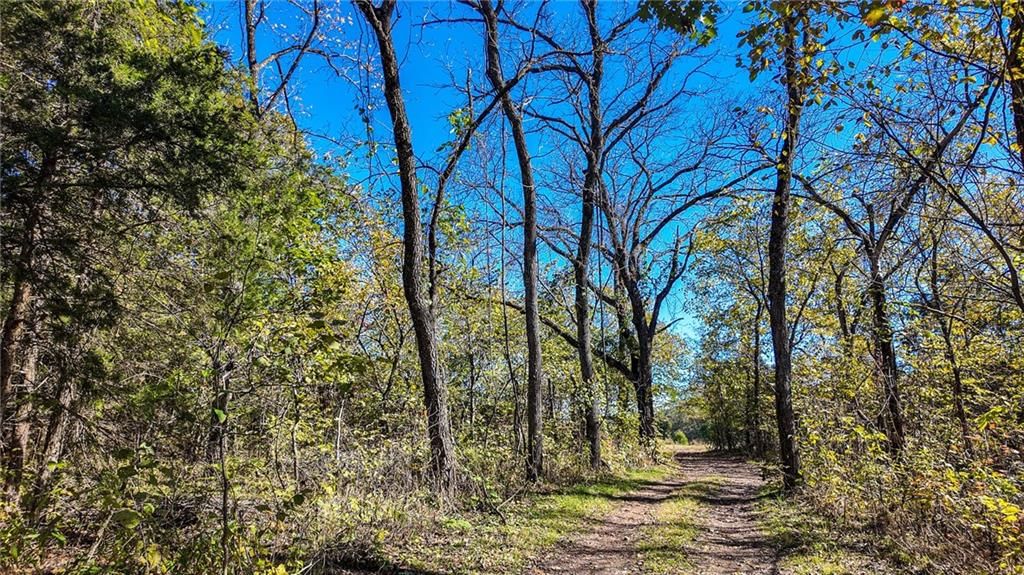 5125 SE 601 Road — photo 20