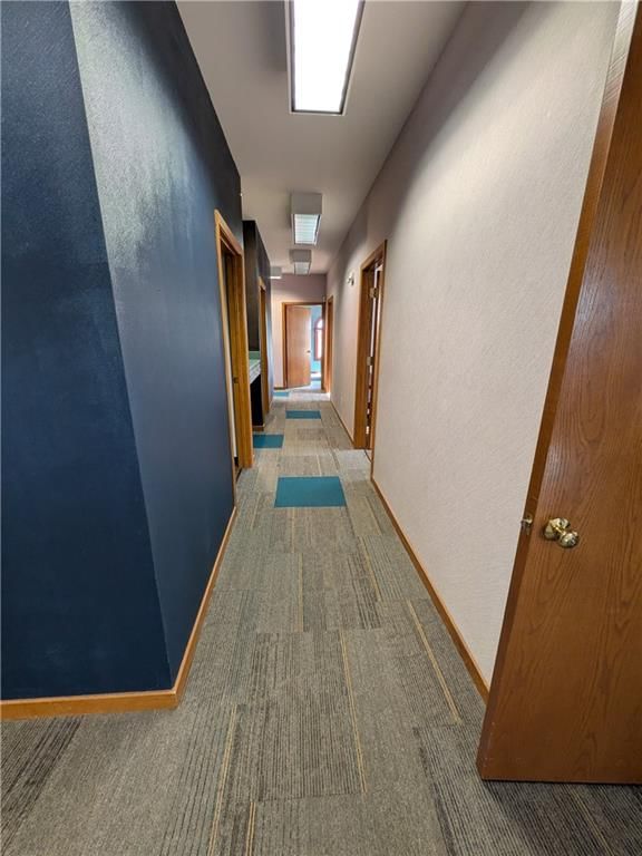 1011 E Saint Maartens Drive — photo 13