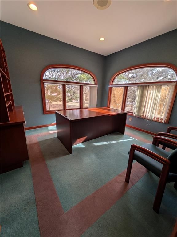 1011 E Saint Maartens Drive — photo 17