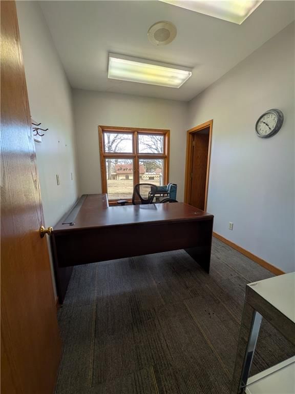 1011 E Saint Maartens Drive — photo 18
