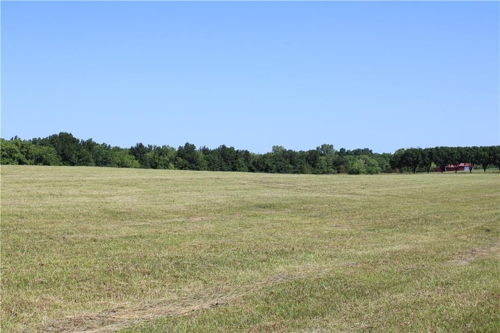 00 E Cline Rd Road — photo 5