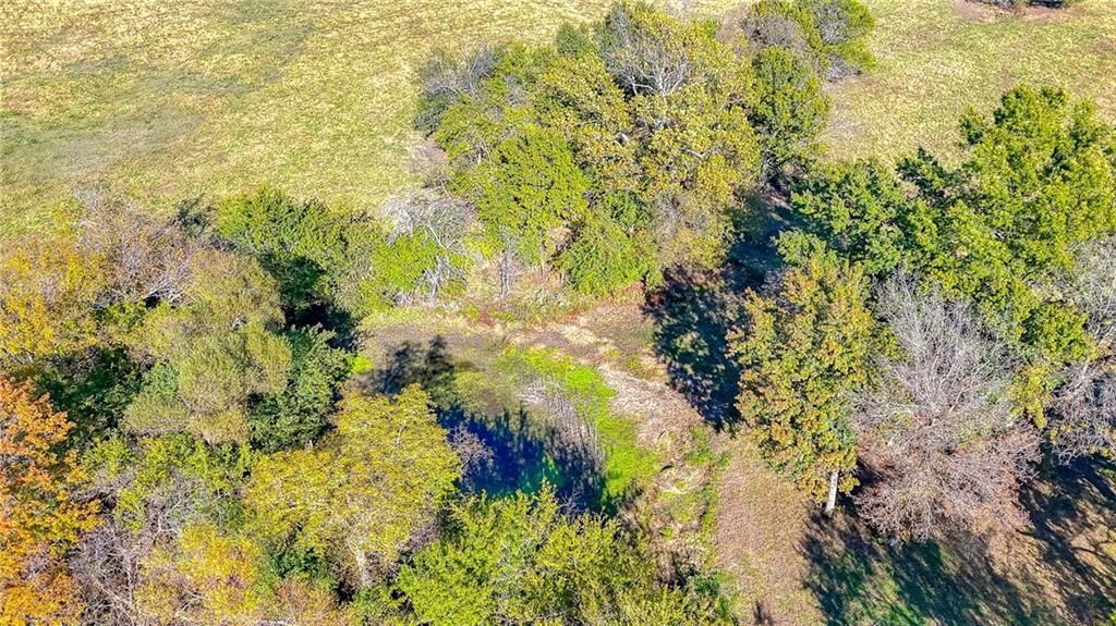833 SW 1101st Road — photo 37