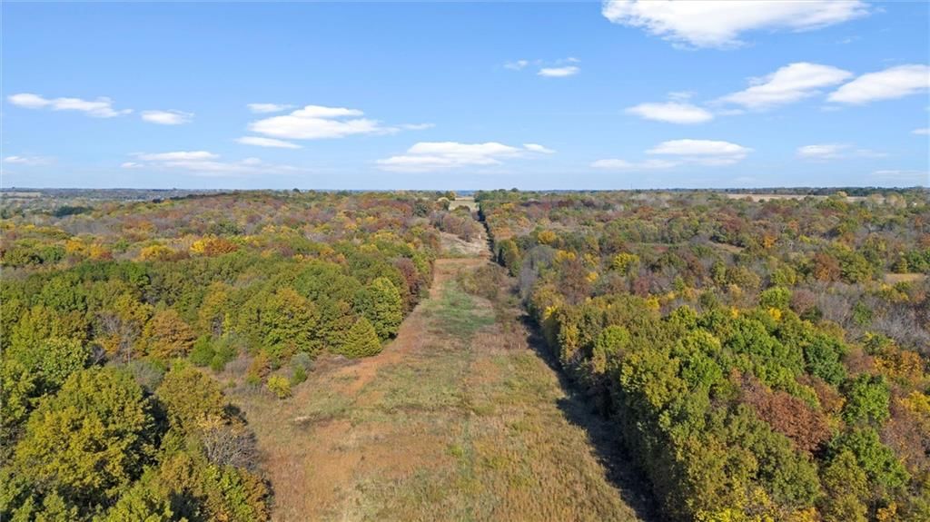 Tract A, SW 75 Road — photo 3