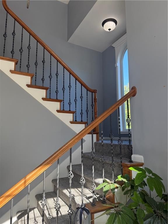 4105 Bennington Drive — photo 13
