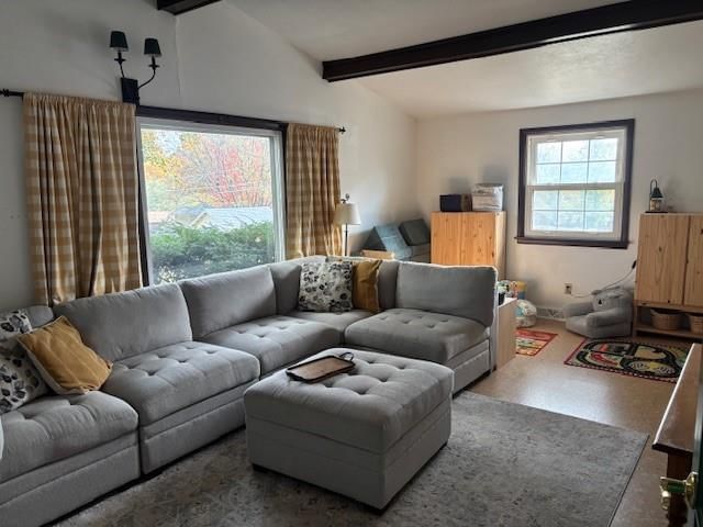 1704 Linden Lane — photo 21