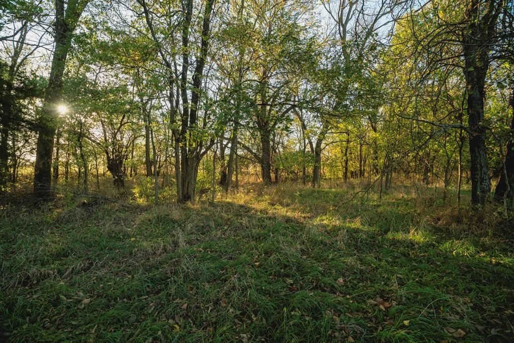 00000 W 391st Street — photo 21