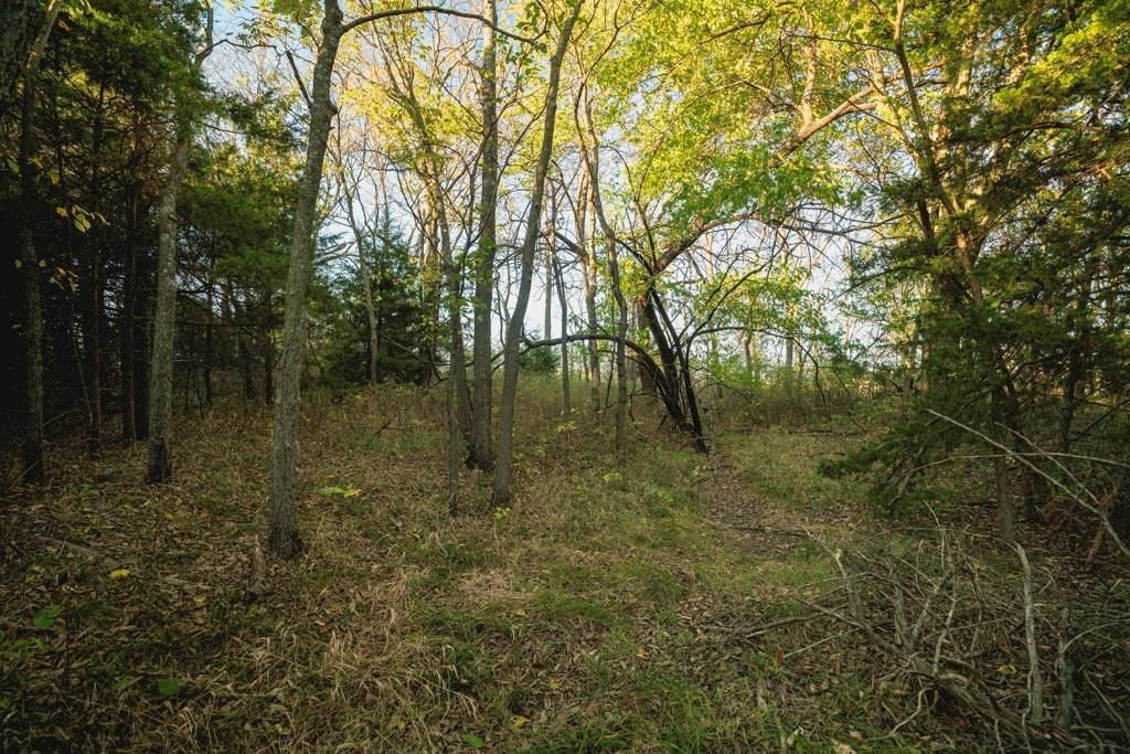 00000 W 391st Street — photo 24