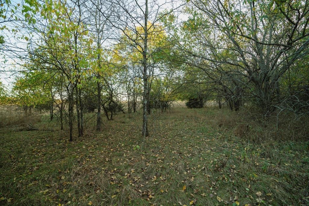 00000 W 391st Street — photo 39